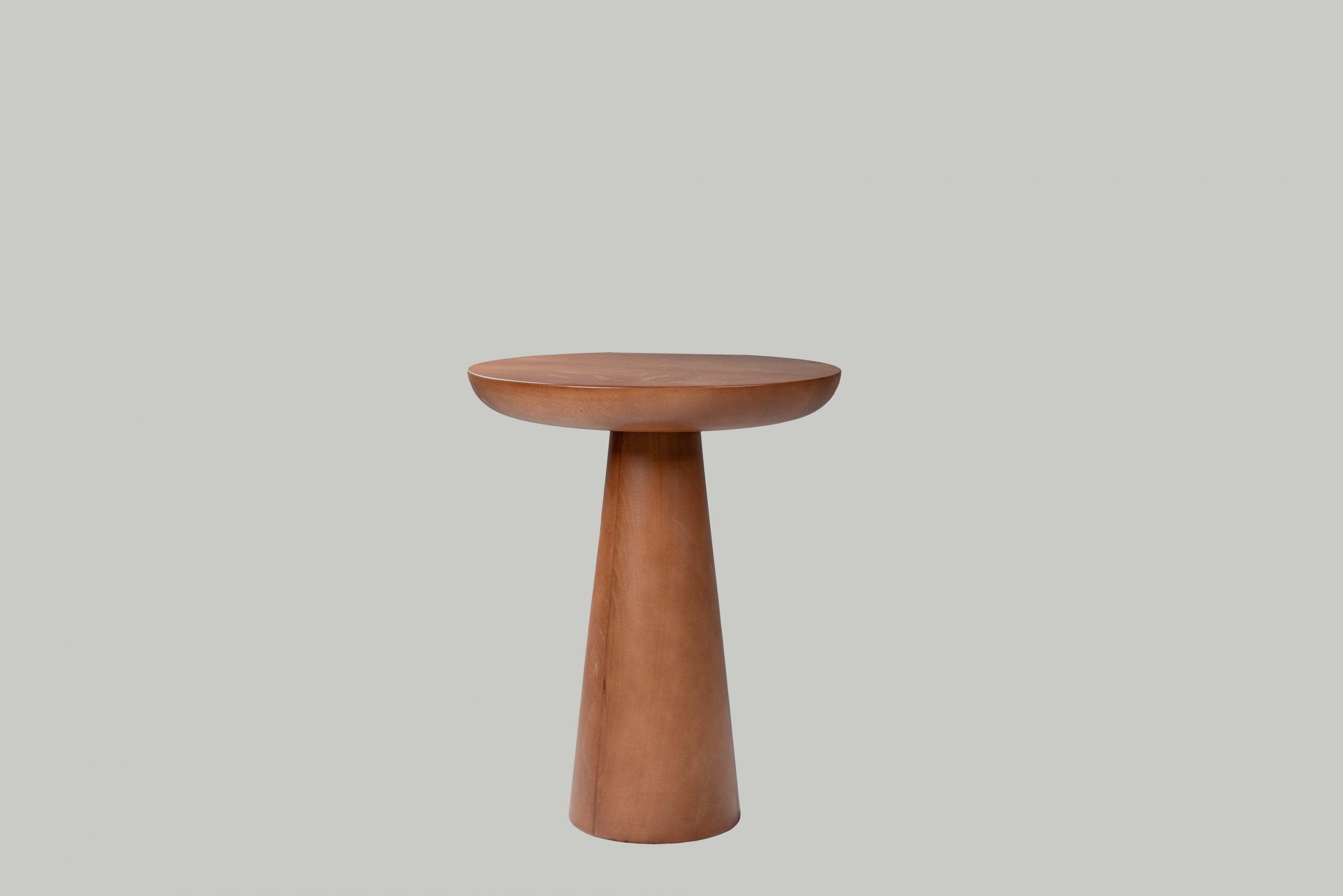 Mushroom Coffee Table - Qavunco
