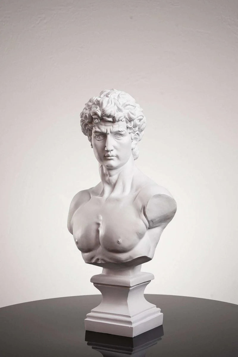 Michelangelo’s David Bust - Artchi